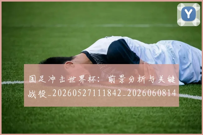 国足冲击世界杯:前景分析与关键战役_20260527111842_20260608142839